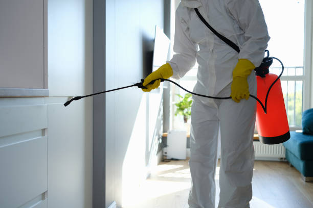 Best Professional Mold Removal  in Circle Pines, MN